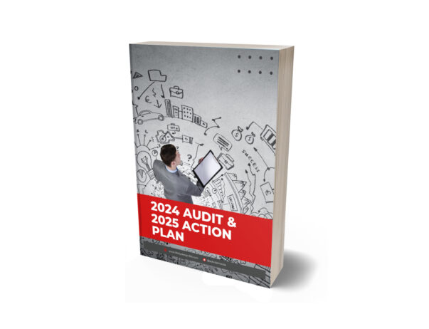 2024 Audit & 2025 Action Plan